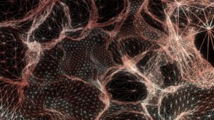 35513542394_1b39106b76_o